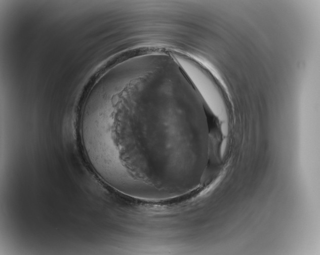 X0000089730783200707051738