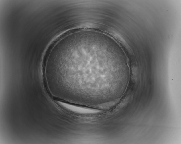 X0000089730784200707051738