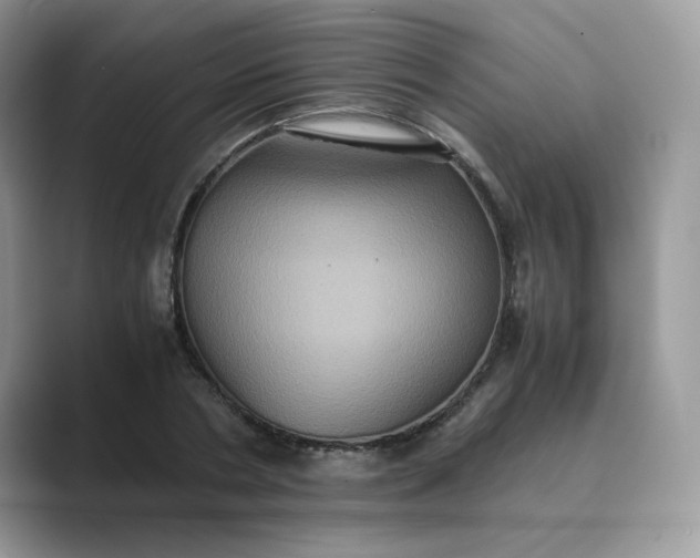 X0000089730786200707051738