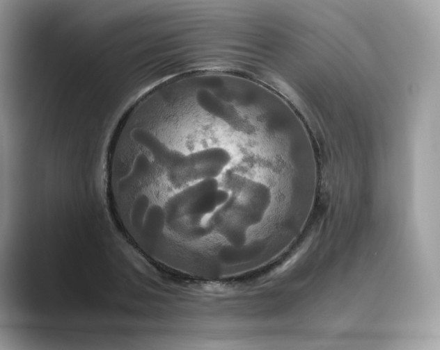 X0000089730787200707051738