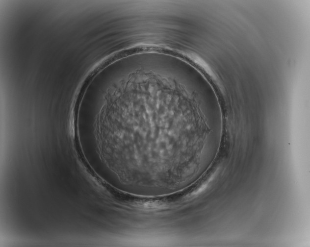 X0000089730791200707051738