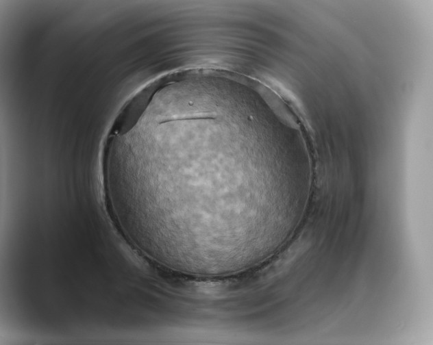 X0000089730792200707051738
