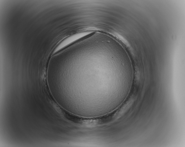X0000089730793200707051738