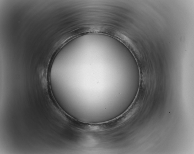 X0000089730794200707051738