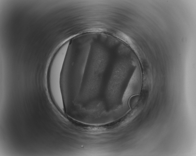 X0000089730795200707051738
