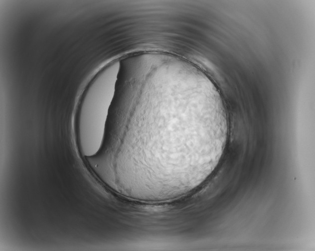 X0000089730796200707051738