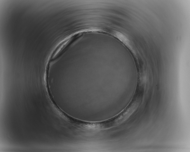 X0000089730797200707051738