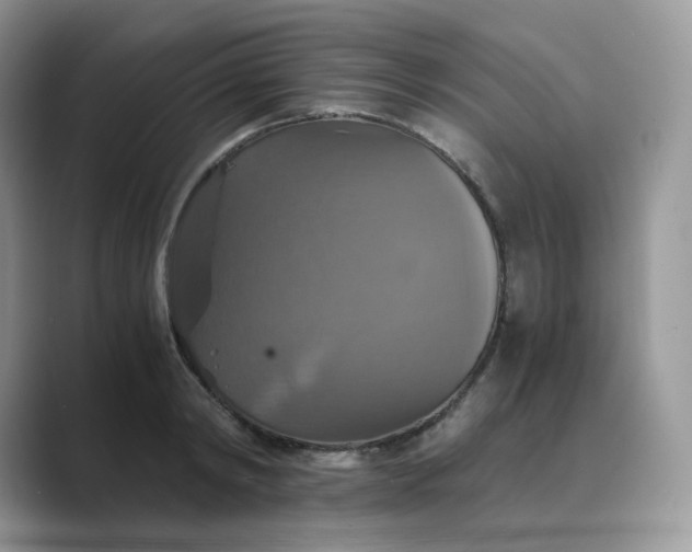X0000089730798200707051738