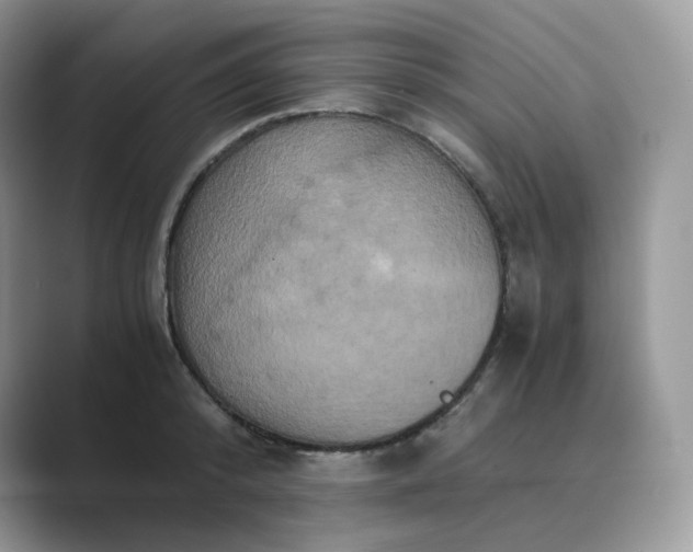 X0000089730800200707051738
