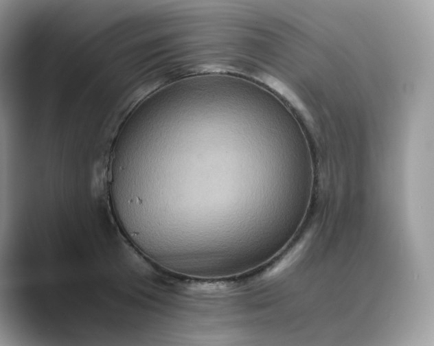X0000089730801200707051738