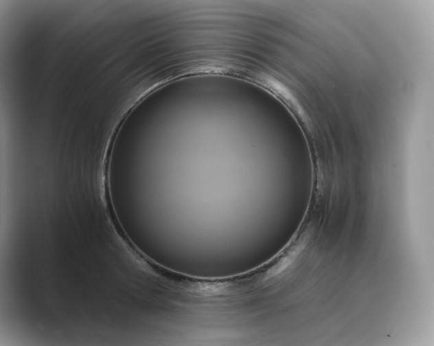 X0000089730802200707051738