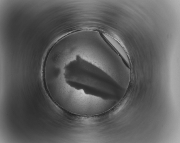X0000089730803200707051738