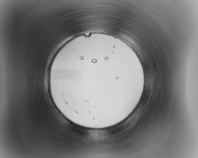 X0000089730804200707051738