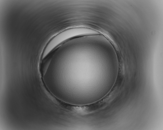 X0000089730805200707051738
