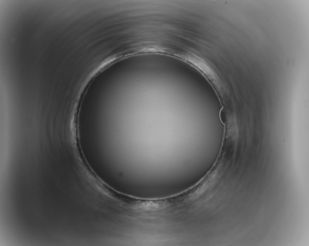 X0000089730806200707051738