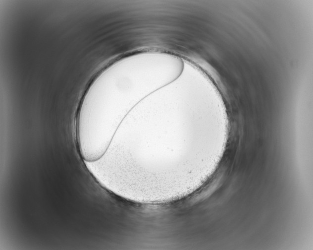 X0000089730807200707051738