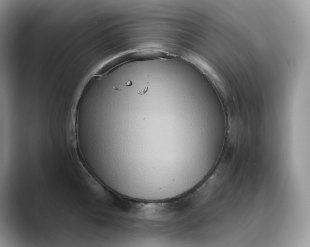 X0000089730808200707051738