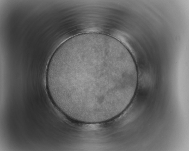 X0000089730810200707051738