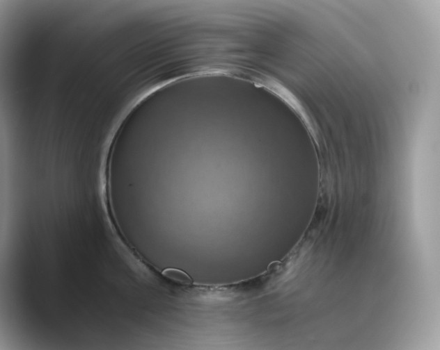 X0000089730811200707051738