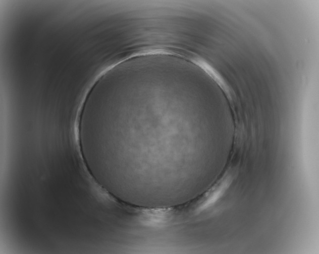 X0000089730813200707051738