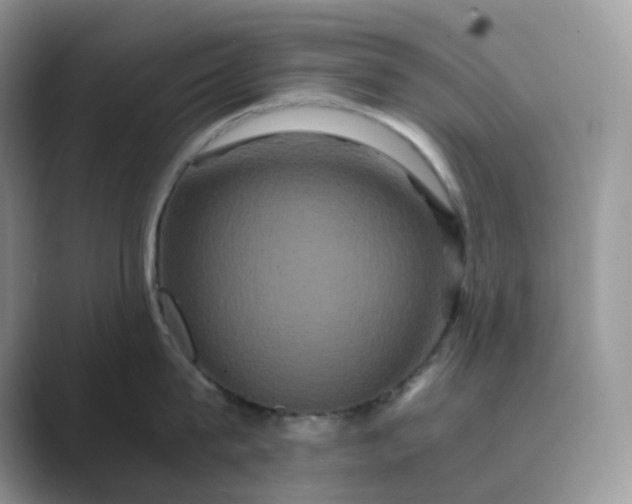 X0000089730815200707051738