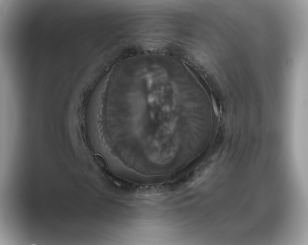 X0000089730817200707051737