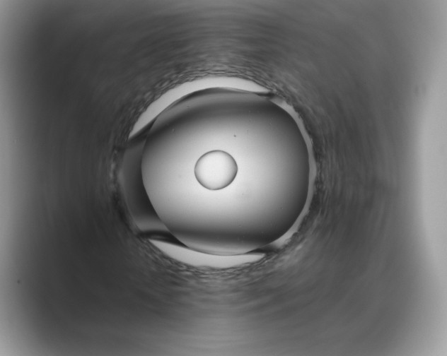 X0000089730818200707051737