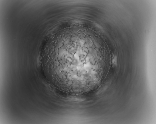 X0000089730819200707051737