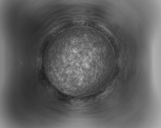 X0000089730821200707051737