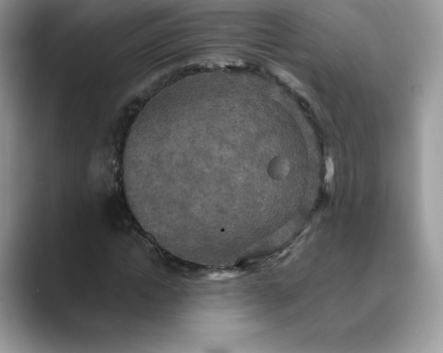 X0000089730822200707051737