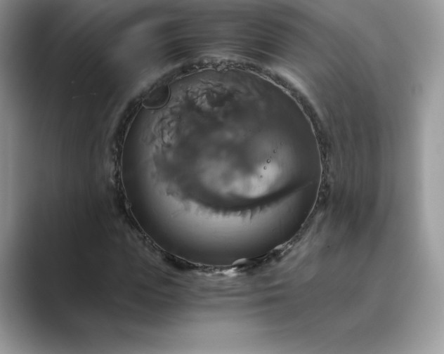 X0000089730823200707051737
