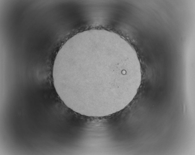 X0000089730824200707051737