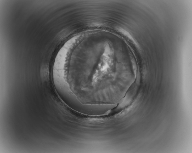 X0000089730825200707051737