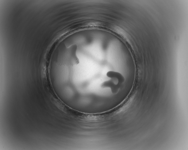 X0000089730827200707051737