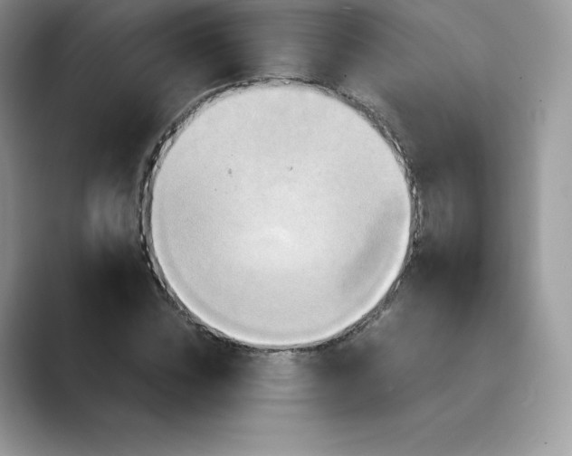 X0000089730828200707051737