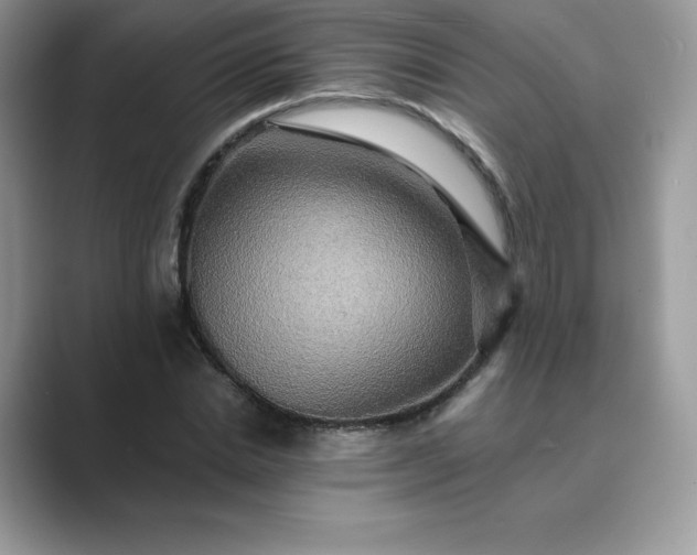 X0000089730830200707051737