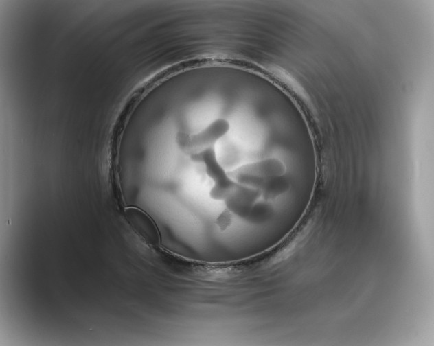 X0000089730831200707051737