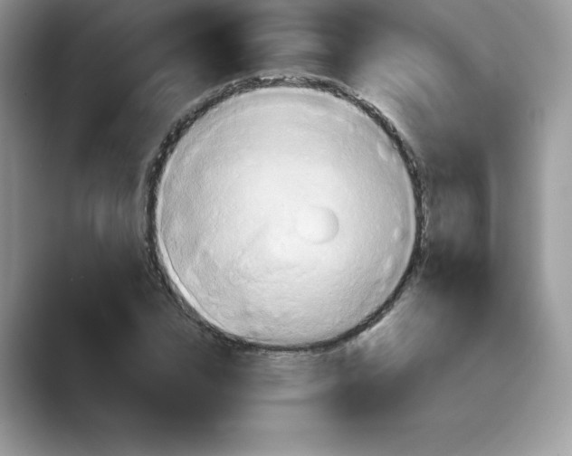 X0000089730832200707051737