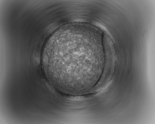 X0000089730833200707051737