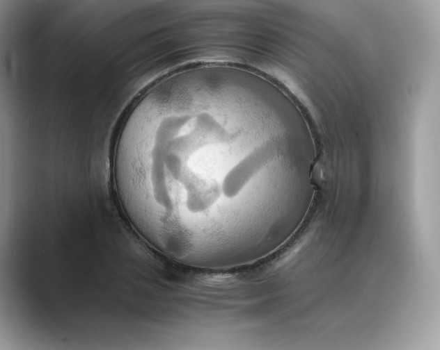 X0000089730837200707051737