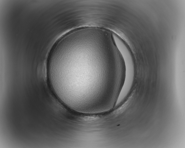 X0000089730838200707051737