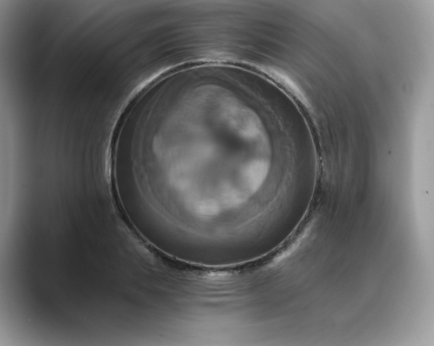 X0000089730839200707051737