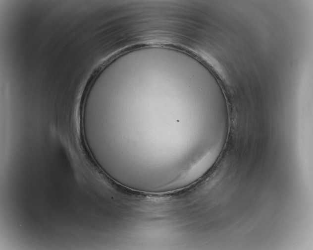 X0000089730840200707051737