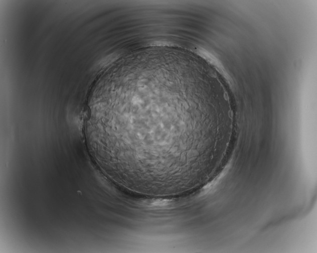 X0000089730841200707051737