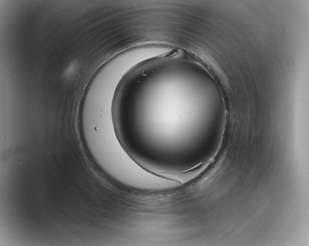 X0000089730842200707051737