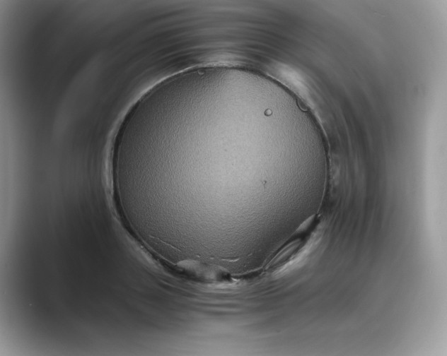 X0000089730843200707051737