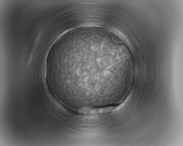 X0000089730844200707051737