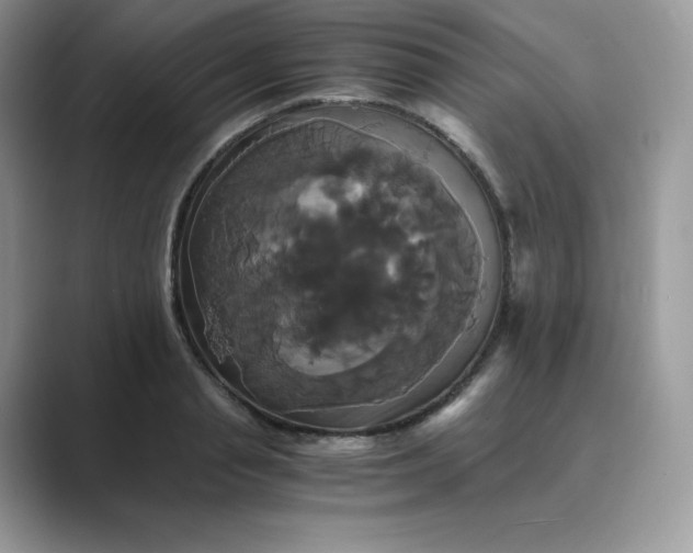 X0000089730845200707051737