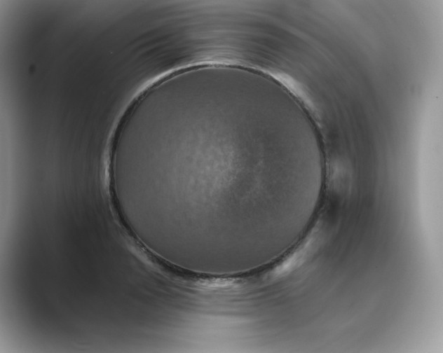 X0000089730846200707051737