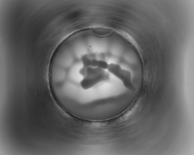 X0000089730847200707051737